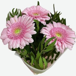 Букет из гербер 3шт.