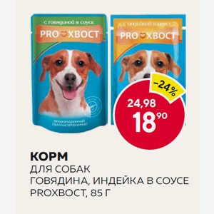 Корм Прохвост Д/собак Говядина, Индейка В Соусе 85г М/у