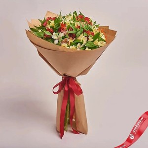 AZALIANOW ЦВЕТЫ. ПОДАРКИ. ДЕКОР Букет из 25 разноцветных альстромерий, Букеты и композиции из живых цветов могут на несколько тонов отличаться от изображений. Часть цвета искажается в зависимости от настроек экрана.