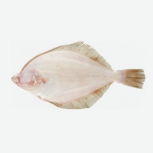 Камбала с/м н/р 1кг