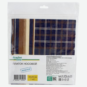 Платок «Каждый день» носовой мужской, 40х40 см