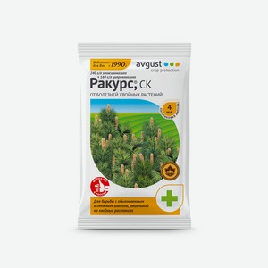 Ракурс, СК.Ампула в пак. 4мл