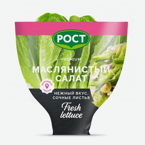 Салат листовой Маслянистый красный, шт