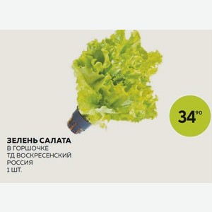 Зелень Салата В Горшочке Тд Воскресенский