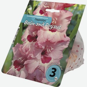 Луковицы гладиолусов Вайн энд Роузис 10/12см 3шт.