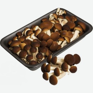 Опята свежие культивируемые, 200г