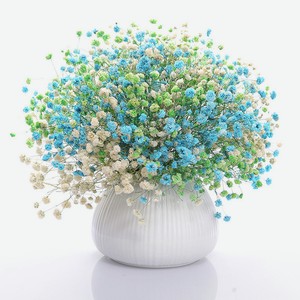 Яяцветок Гипсофила Цветная Шт