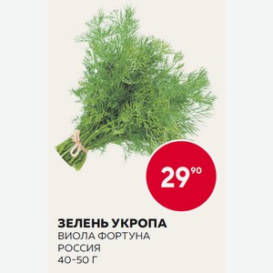 Зелень Укропа 40-50г Виола, Фортуна
