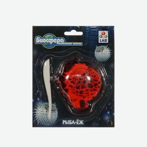 Набор для опытов 1 Toy БИОсфера Рыба-ёж
