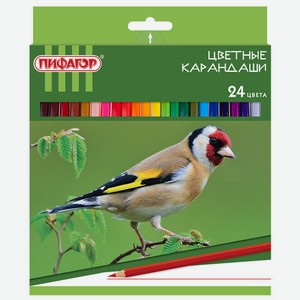 Карандаши цветные ПИФАГОР 24цв