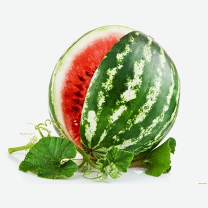 Арбуз вес., ООО ТД Азия