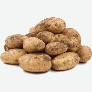 Картофель вес Россия