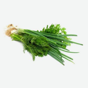 Ассорти (укроп, петрушка, лук) 100гр.