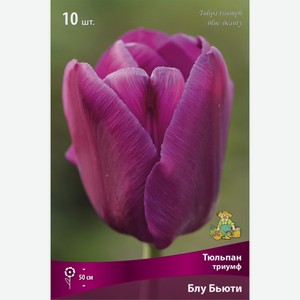 Луковицы ПОИСК Тюльпан триумф Блу Бьюти, Нидерланды, 10 шт