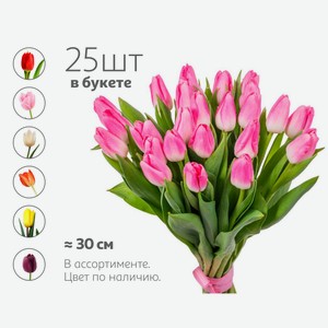 Букет живых срезанных цветов из 25 тюльпанов в упаковке в ассортименте h 30 см, 1 шт