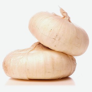 Лук белый плоский, вес