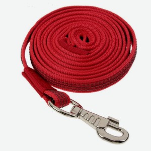Поводок для собак КАСКАД нейлон с латексной нитью двухсторонний 20мм 3м красный