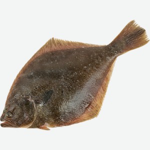 Камбала свежемороженая глазированная неразделанная, весовая