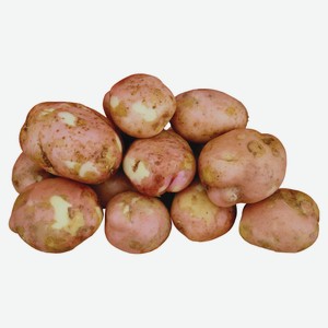 Картофель Беллароза, вес цена за 1 кг