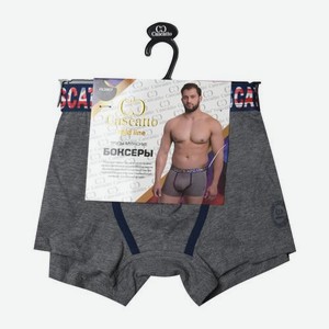 Трусы-боксеры мужские серые Cascatto Vilena в ассортименте