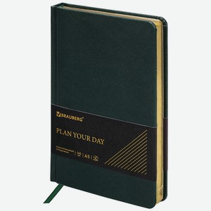 BRAUBERG Ежедневник недатированный А5 Iguana, Зеленый