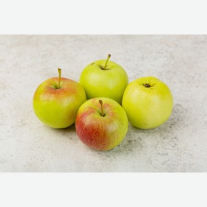 Яблоко Мичуринское