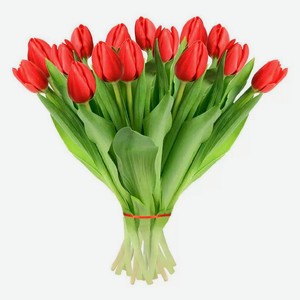 Букет живых срезанных цветов из 15 тюльпанов в упаковке в ассортименте h 30 см, 1 шт