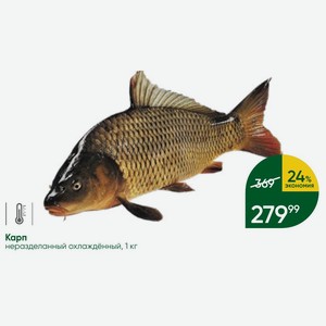 Карп неразделанный охлаждённый, 1 кг