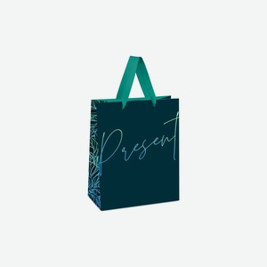 Пакет подарочный Meshu Present 18х23х10 см матовая ламинация