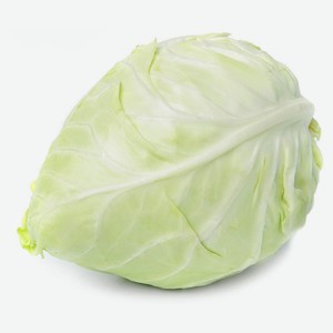 Капуста коническая, вес