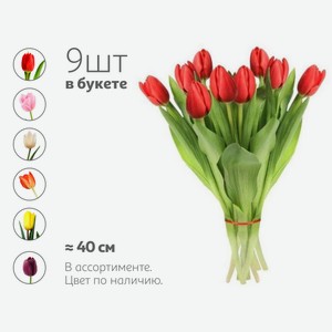 Букет живых срезанных цветов из 9 тюльпанов в упаковке в ассортименте h 40 см, 1 шт