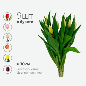 Букет живых срезанных цветов Монобукет Тюльпан из 9 тюльпанов в ассортименте h 30 см, 1 шт