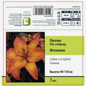 Лилия ЛА-гибрид Фиамма 1 шт.