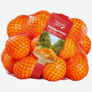 Мандарины Красная цена фасованные, Цена за 1 кг