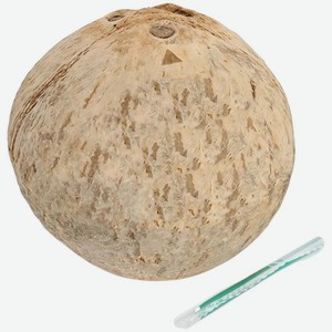 Кокос Артфрут свежий, 1шт, 700 г