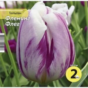 Луковицы НК.ЛТД Тюльпан Флеминг Флег 10/11 218921/94 / HK342502, Россия