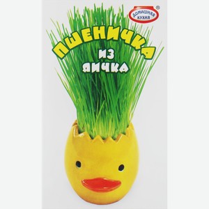 Набор пасхальный ДОМАШНЯЯ КУХНЯ Пшеничка из яичка, 105г