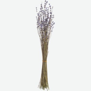 Изделие декоративное КОЛХОЗ ЛУЧ Лавандин, микс