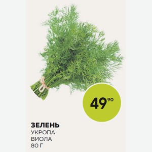 Зелень Укропа 80г Виола