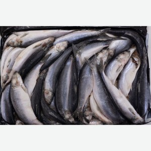 Сельдь Тихоокеанская Свежемороженная Неразделанная 1кг