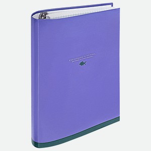 BRAUBERG Тетрадь на кольцах 120 листов Моноцвет, Мультицвет