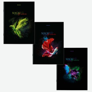 BRAUBERG Тетради Дэк А4 Shade, Комбинированный