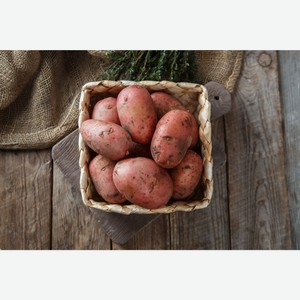 Картофель красный 1 кг.
