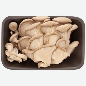 Грибы вешенки 300г упак