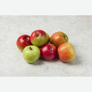 Яблоко Медовый хруст