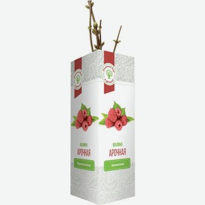 Саженец Русский Огород Малина Арочная 1шт.