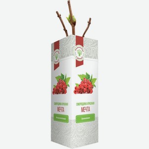 Саженец Русский Огород Смородина Красная Мечта 1шт.