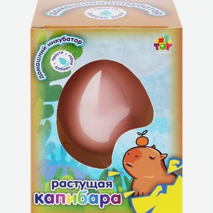 Игрушка 1TOY Домашний инкубатор 10,5х7,5х5см, в ассортименте