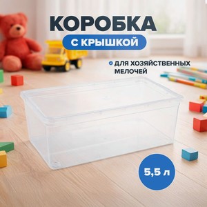 Коробка прозрачная, 5,5 л