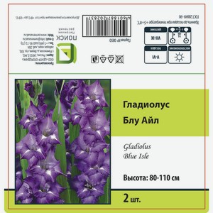 Гладиолус крупноцветковый Блу Айл 2 шт.